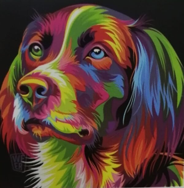 5D DIY Diamond Painting Kit - Colourful Dog (20x20) - A-Toosh-a-Licious